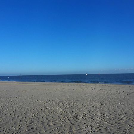 Private Logies Texel Woodart Midden-Eierland Екстер'єр фото