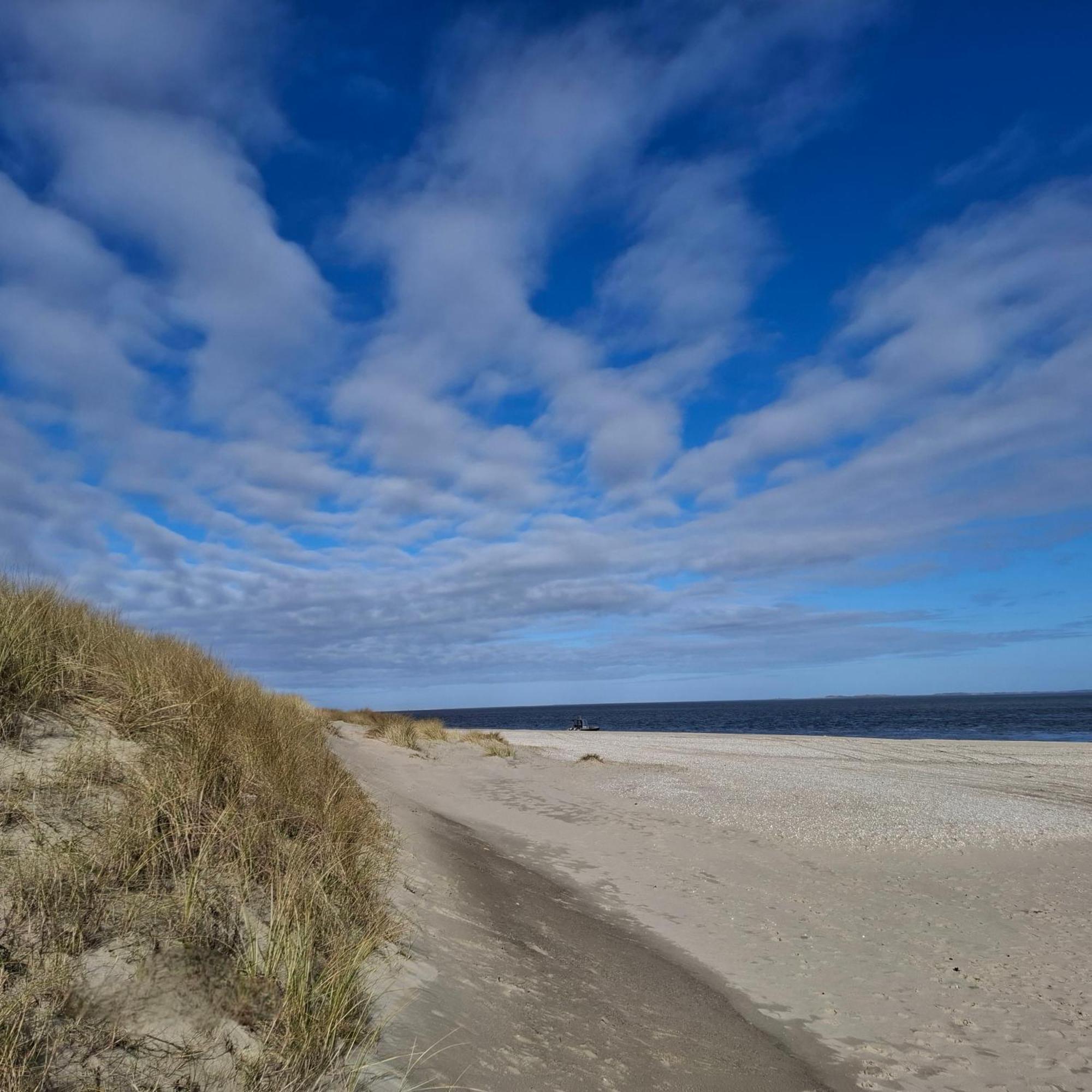 Private Logies Texel Woodart Midden-Eierland Екстер'єр фото