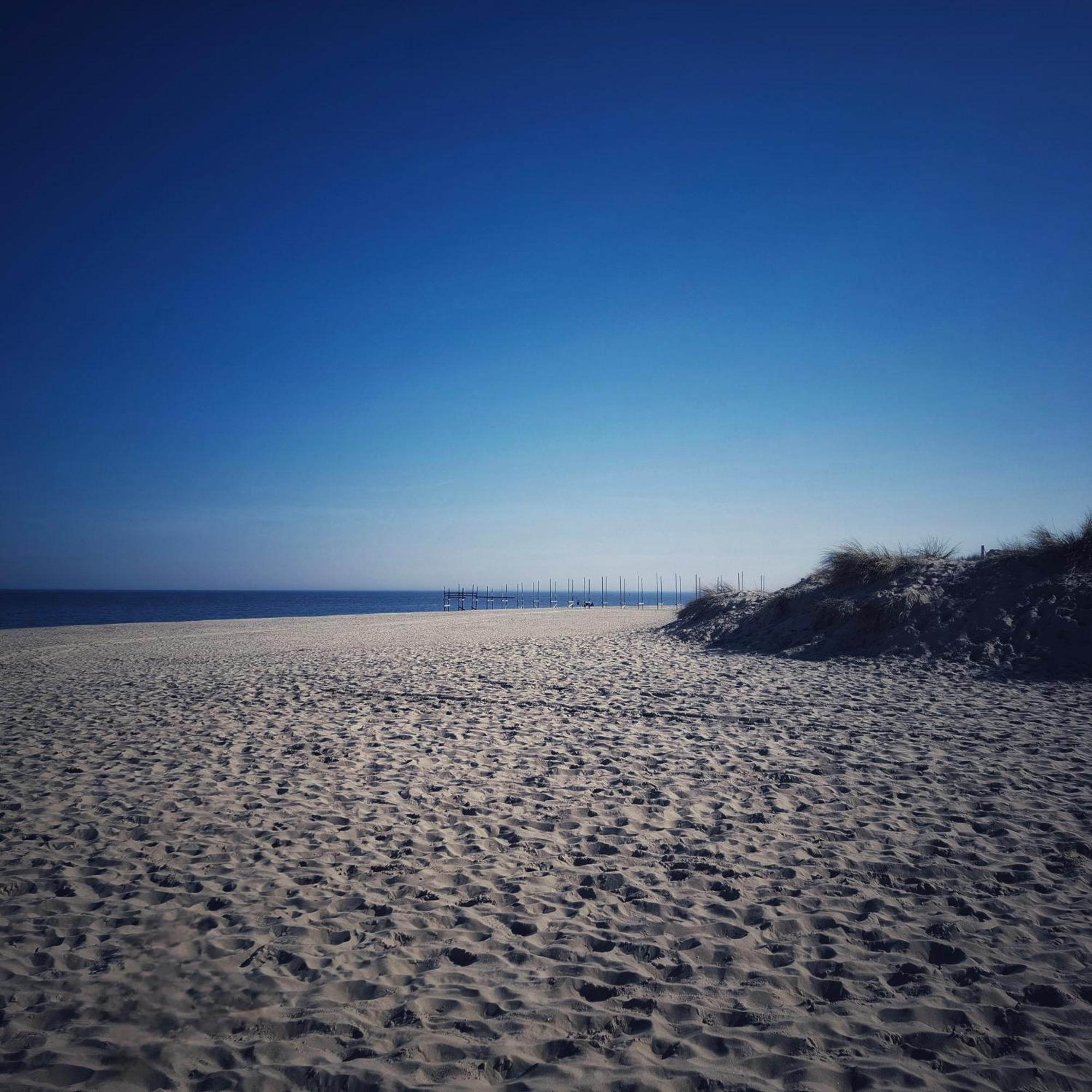 Private Logies Texel Woodart Midden-Eierland Екстер'єр фото